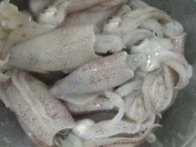 小鱿鱼怎么处理