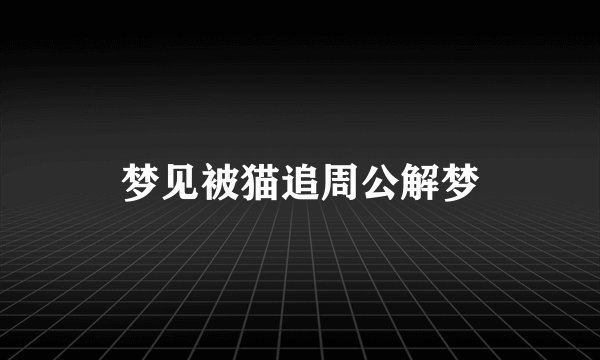 梦见被猫追周公解梦