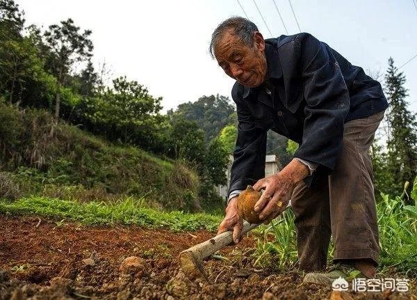 儿女对父母不管不问、一点不尽孝，应该把他们送上法庭吗？