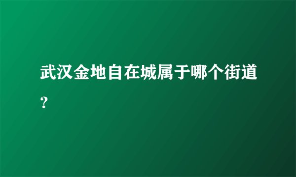 武汉金地自在城属于哪个街道？