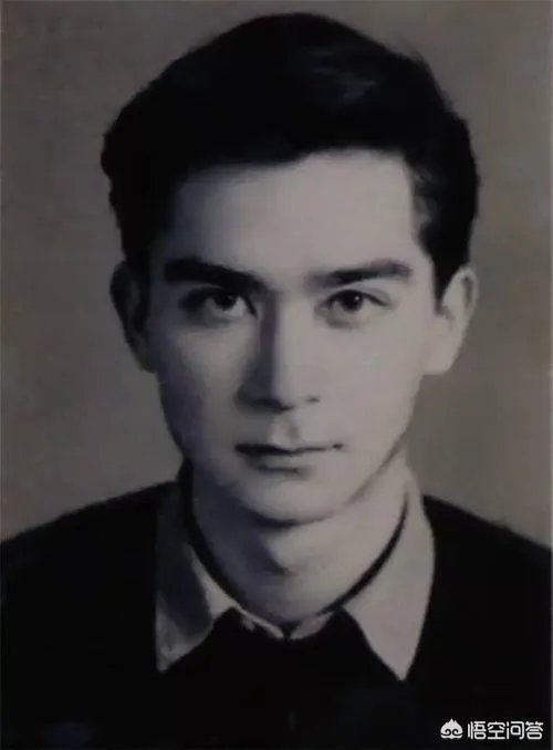 论相貌,王德民和何鸿燊谁帅?