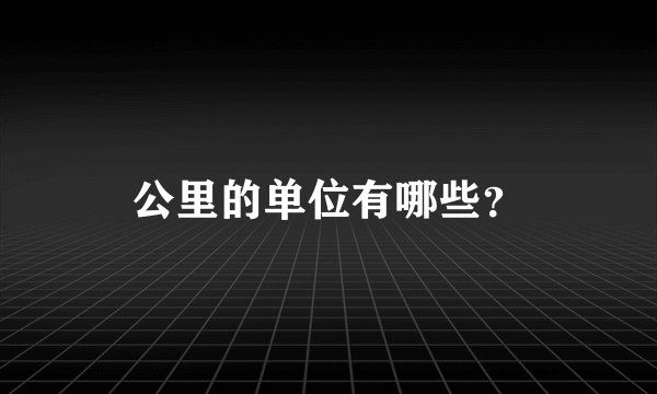 公里的单位有哪些？