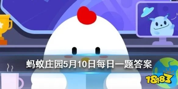 大熊猫爱吃的竹子实际上是什么 蚂蚁庄园小课堂竹子是草还是树