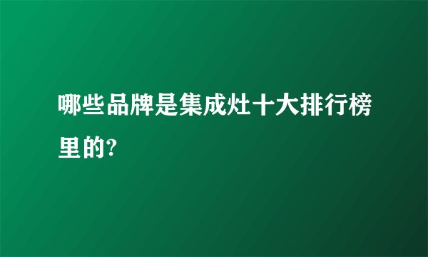 哪些品牌是集成灶十大排行榜里的?