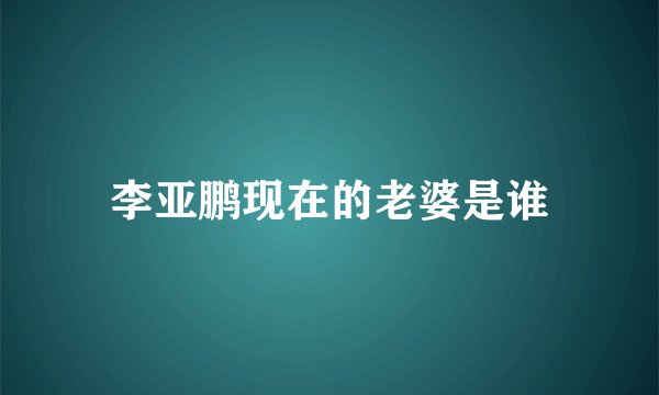 李亚鹏现在的老婆是谁