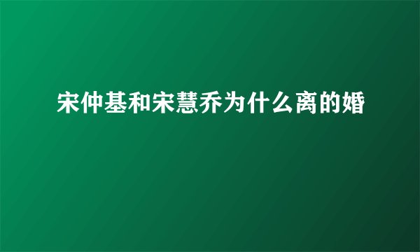 宋仲基和宋慧乔为什么离的婚