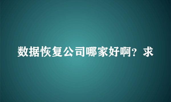 数据恢复公司哪家好啊？求