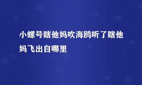 小螺号瞎他妈吹海鸥听了瞎他妈飞出自哪里