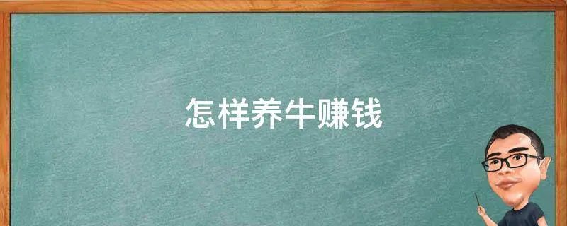 怎样养牛赚钱