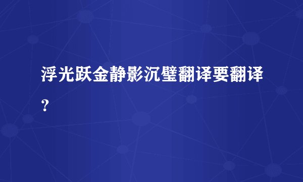 浮光跃金静影沉璧翻译要翻译？