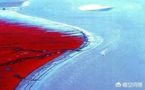 洪涛为什么会从湖南卫视离职，可能带来哪些影响？