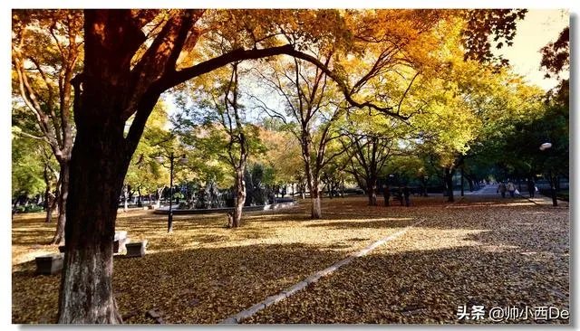武汉大学通知本科生5.25线上答辩,是不是意味着武汉市的大学这学期不会开学了?