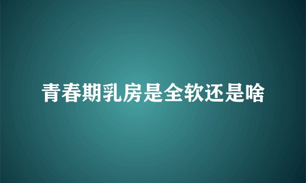 青春期乳房是全软还是啥