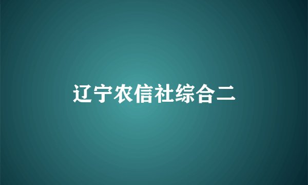 辽宁农信社综合二