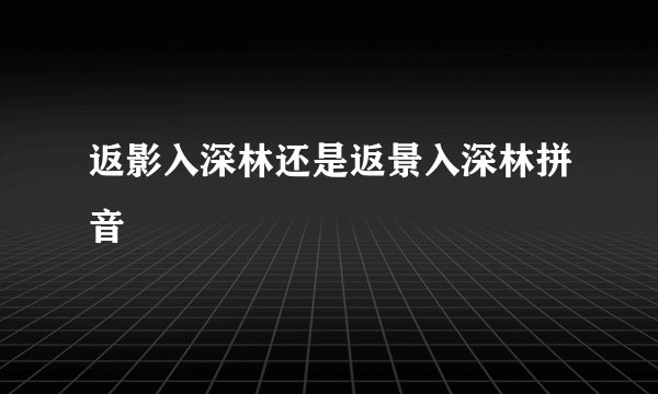 返影入深林还是返景入深林拼音
