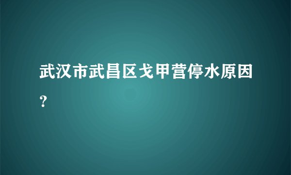 武汉市武昌区戈甲营停水原因？