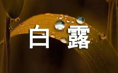 白露的古诗词