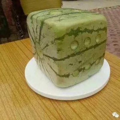 这种方形西瓜是怎么种出来的，好不好吃？