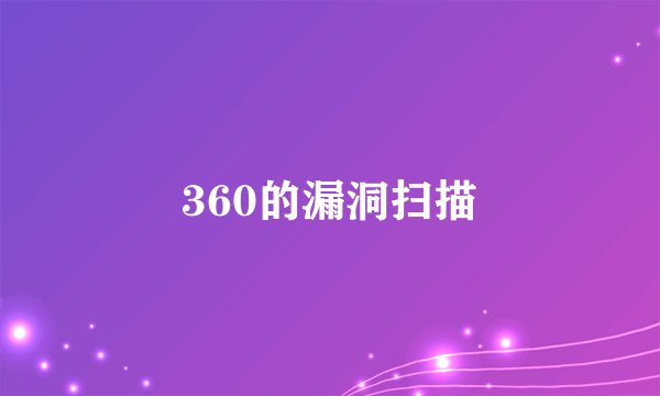 360的漏洞扫描