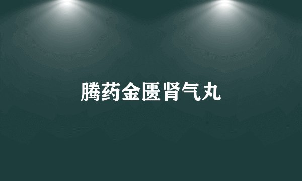 腾药金匮肾气丸