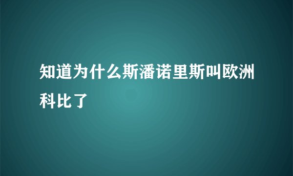 知道为什么斯潘诺里斯叫欧洲科比了
