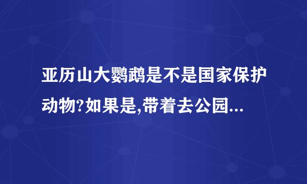 亚历山大鹦鹉是不是国家保护动物?如果是,带着去公园,会不会被人举报?