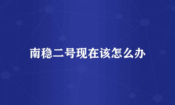 南稳二号现在该怎么办