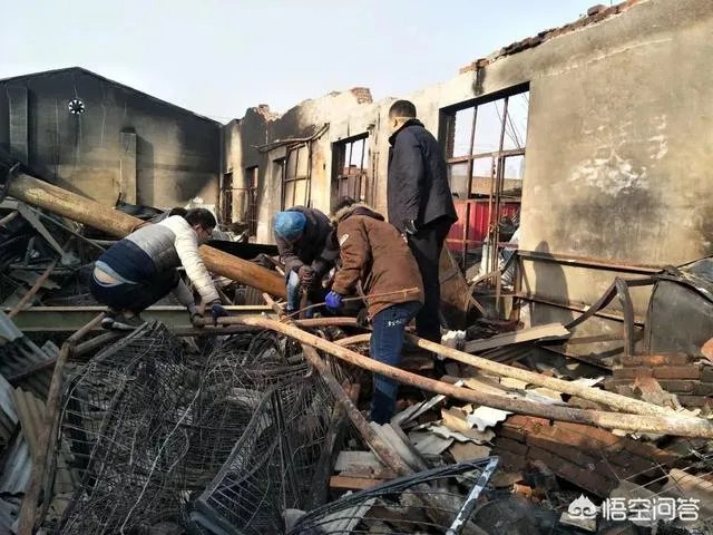 保定一老人卖房救助流浪狗,救助站不慎失火,为抢救狗狗烧伤半边脸,这个事你怎么看?