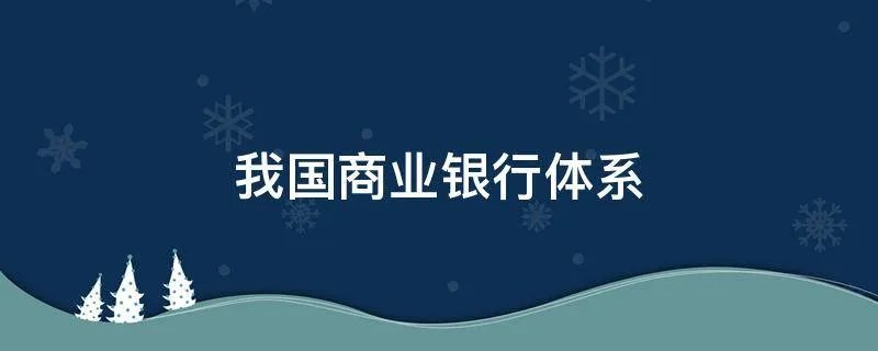 我国商业银行体系