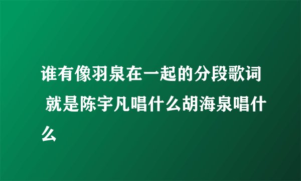 谁有像羽泉在一起的分段歌词 就是陈宇凡唱什么胡海泉唱什么