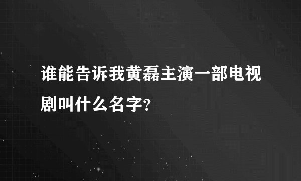 谁能告诉我黄磊主演一部电视剧叫什么名字？