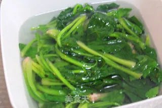 果仁菠菜