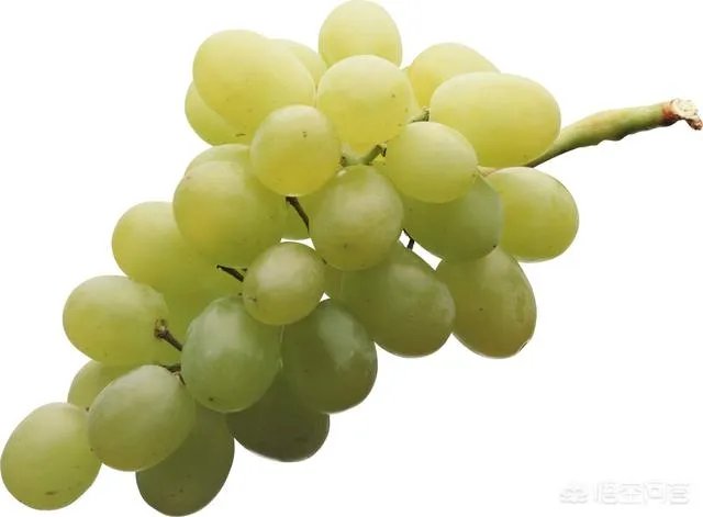 葡萄干上火吗?