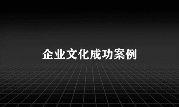 企业文化成功案例