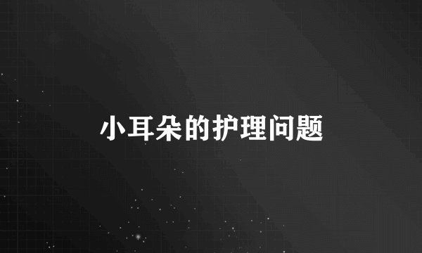 小耳朵的护理问题