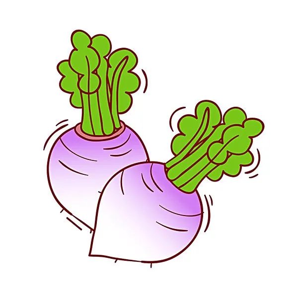 甜菜头是什么