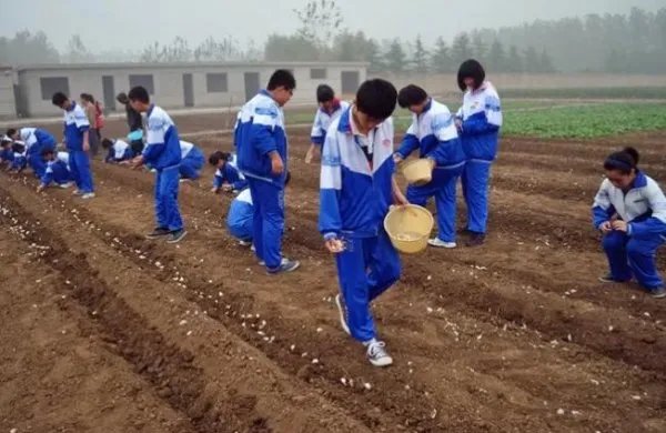 小学改5年,高中改2年,这么做现实吗?