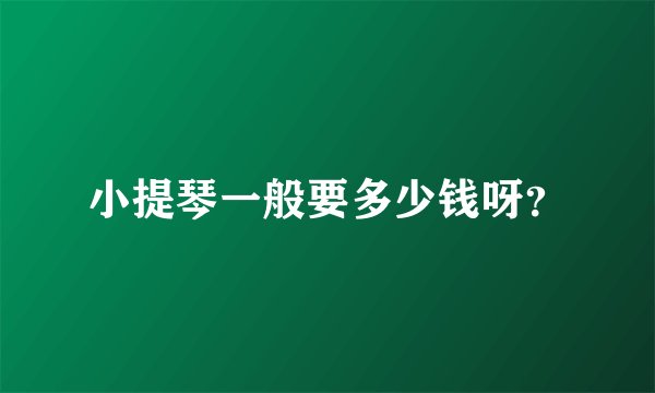 小提琴一般要多少钱呀？