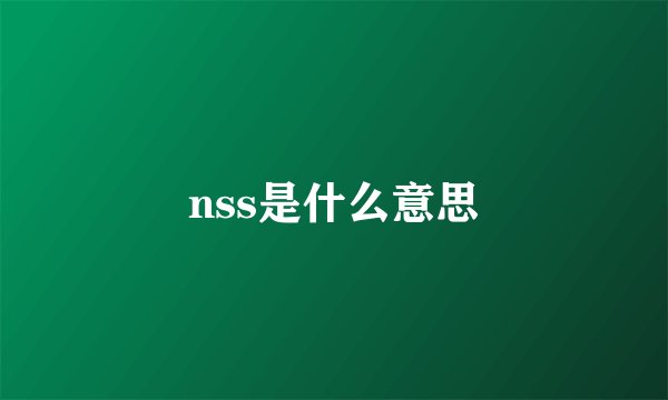nss是什么意思