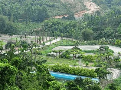 五桂山的介绍