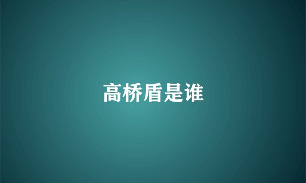高桥盾是谁