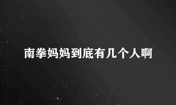 南拳妈妈到底有几个人啊