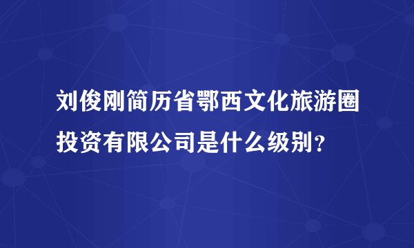 刘俊刚简历省鄂西文化旅游圈投资有限公司是什么级别?
