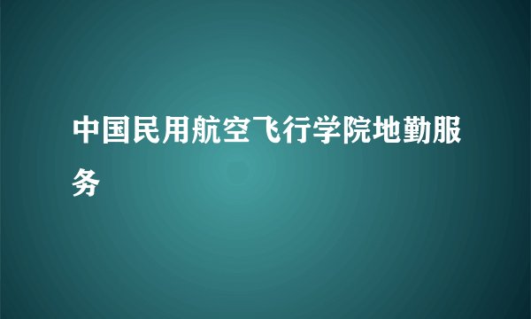 中国民用航空飞行学院地勤服务