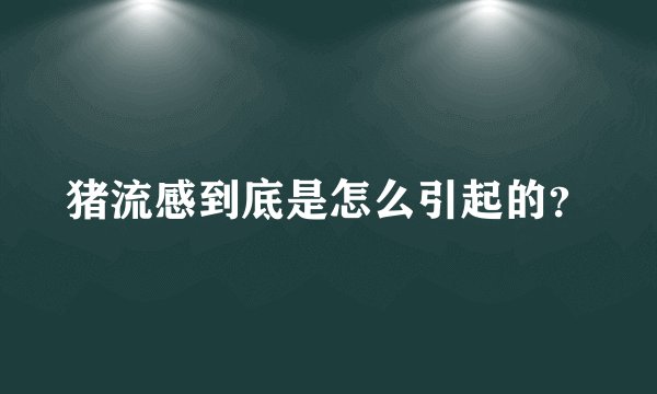 猪流感到底是怎么引起的？
