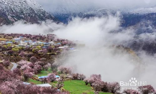 林芝旅游攻略