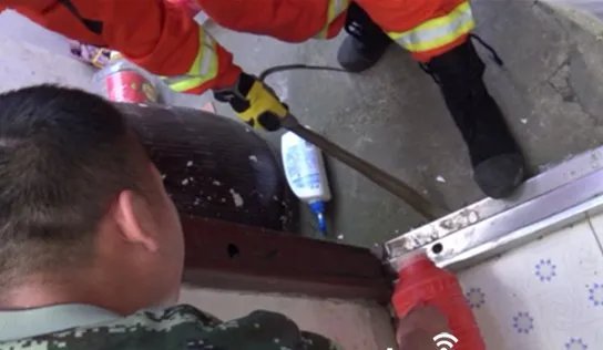 2米长蛇钻幼儿园是怎么回事?