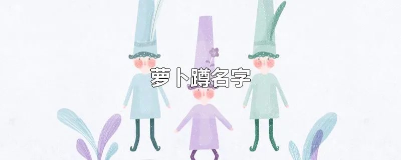 萝卜蹲名字