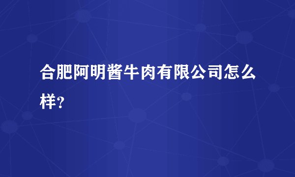合肥阿明酱牛肉有限公司怎么样？