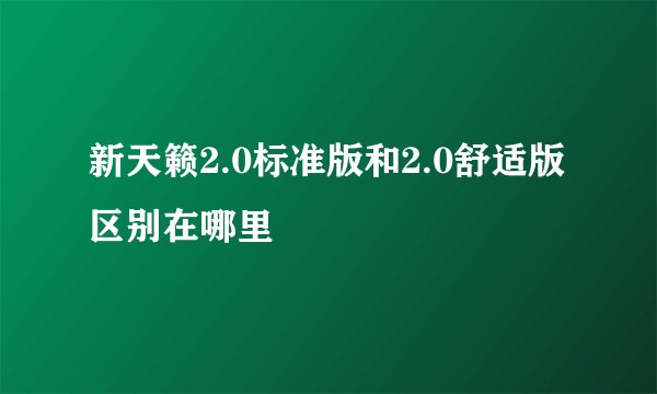 新天籁2.0标准版和2.0舒适版区别在哪里